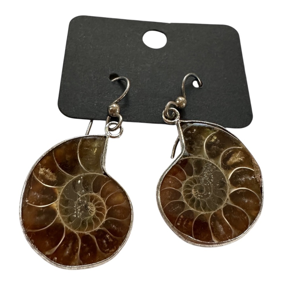 Ammonite Fossil Shell Earrings Raw Open Back Polished Front Natural Fossils
